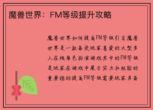 魔兽世界：FM等级提升攻略